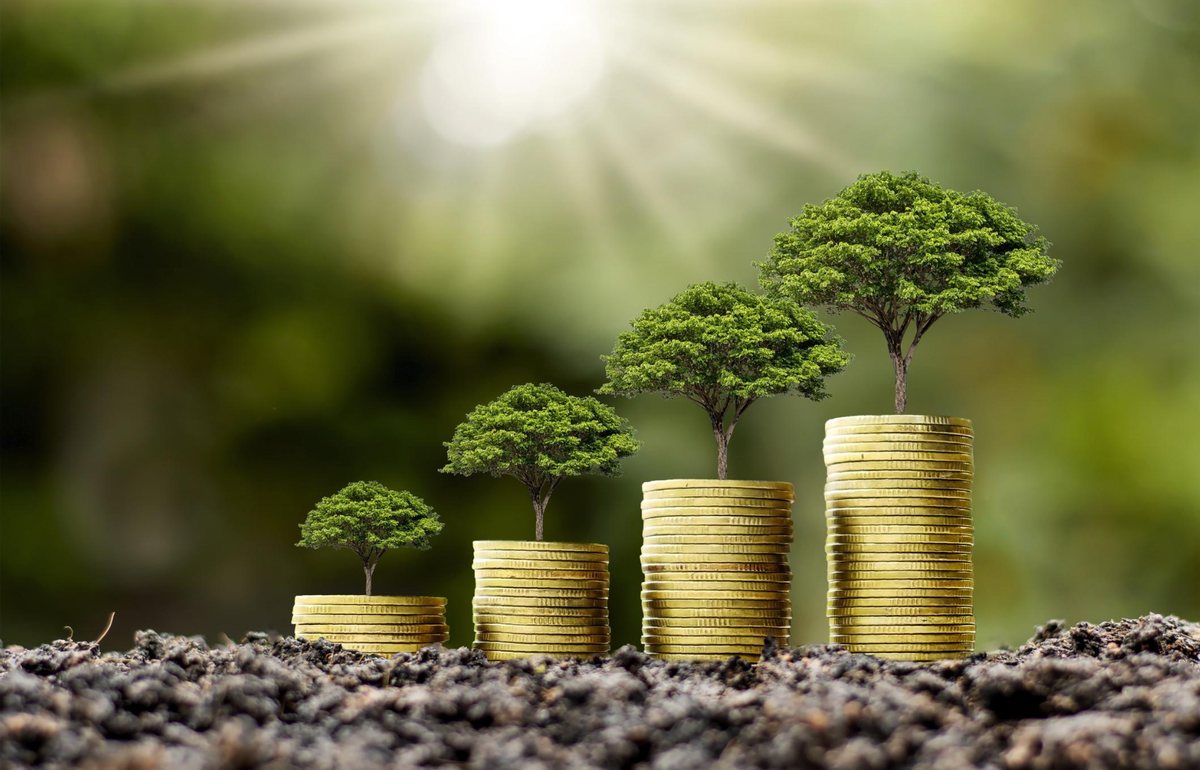 Coin stacks of increasing height, each with a growing tree, symbolising compounding wealth over time