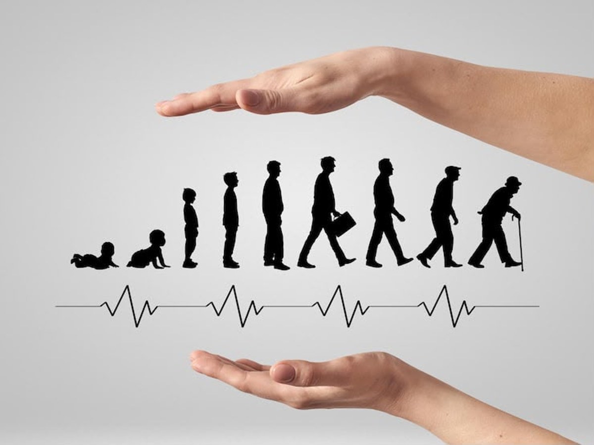 Silhouettes of a person growing from baby to elder, sheltered between two open hands